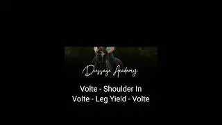 Volte - Shoulder In - Volte - Leg Yield - Volte in Walk