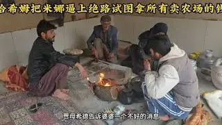 贾姆希德猜到了哈希姆和卡迪尔的想法，他们是想把米娜逼上绝路
