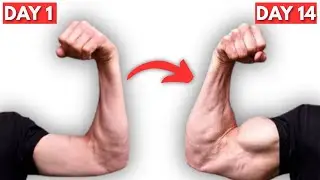 6 Exercises That Give You CRAZY Big Arms &ndash; Get Bigger Biceps & Triceps