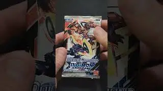*The Universe Heard Me!* Digimon Double Diamond Pack Opening