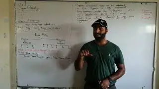Vital force theory and how it is rejected? | Organic chemistry