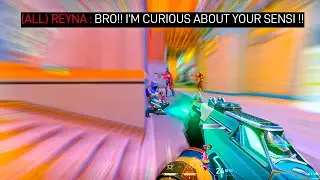 0.45 800 DPI - 144hz