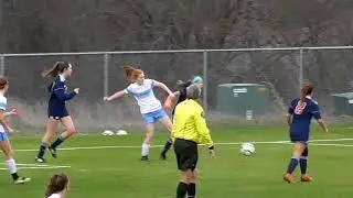 Amanda Adams Highlights from 2020