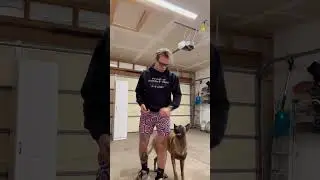 #tipsandtricks #germanshepherd #puppytrainingtips #dogtraining #tricks #pettrainingtips #howto #dog