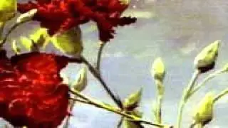 Fifths Of Seven - For you alone in the smoldering city