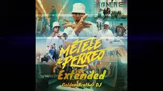 Daddy Yankee - M&Eacute;TELE AL PERREO (Extended)
