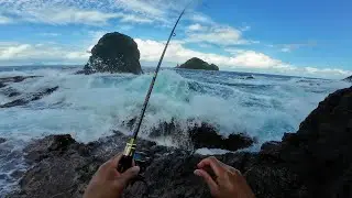 DANGEROUS Black Sea weeds Spot!!