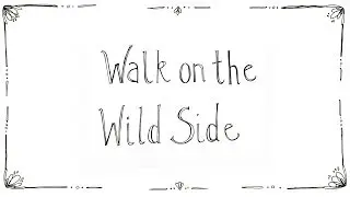 Murphy's Lore 'Walk on the wild side'