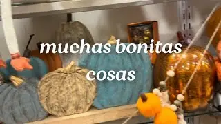 Me di una vuelta por la home goods