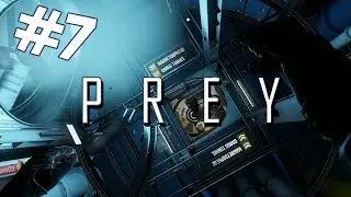 Prey #7: Actually, I recycle. So I deserve a new scope!