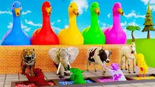 Giant Duck Animal Crossing Fountain 🦆 | Funny 3D Animal Cartoon