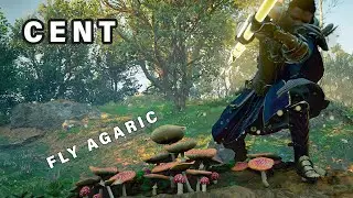 How to do the FLY AGARIC hallucination challenge in CENT ► Assassin's Creed Valhalla