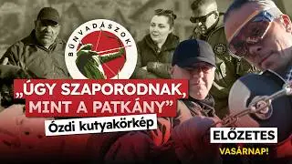 ELŐZETES: 