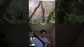 Filippino Forest by Kevin and The 3 Strings