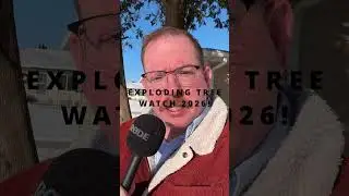 EXPLODING TREE WATCH 2026 #localnews