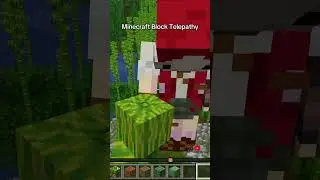 our best attempt yet at the Minecraft block telepathy challenge!! ⛏️ #minecraftchallenge #minecraft