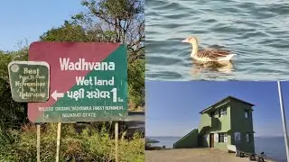 Wadhvana Wet land | Wadhvana Bird Sanctuary