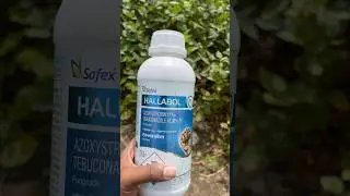 Fungicide Azoxystrobin11%+tebuconazole18.30%sc safex hallabol
