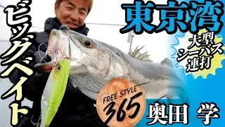 【奥田学が“沈黙”を覆すモンスターゲームを展開！】東京湾ビッグベイトシーバス攻略！