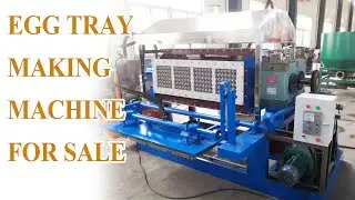 Egg Tray Making Machine for Sale | Full Working Process Demo #egg #eggtray #recycle #paper