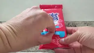 In Hand Review of Wet Ones Antibacterial Hand Wipes Case, Fresh Scent