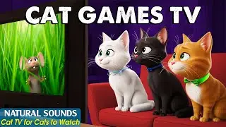 Entertainment CAT TV－Ultimate CAT Games to Prevent Boredom & Loneliness for Cats😸Video for Bored Cat