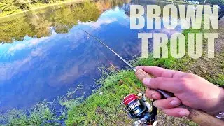 LA FARIO SOLITARIA! - Pesca alla trota a ultralight spinning con SPOON DA TROUT AREA e GOMMA