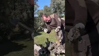 Hacha de Bushcraft y Supervivencia Joker Nature #bushcraft #supervivencia #bushcraftwolf ​⁠