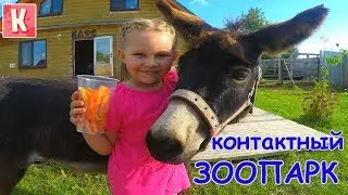 Обжора ОСЛИК съел ВСЮ МОРКОВЬ! Звери остались ГОЛОДНЫЕ. Контактный ЗООПАРК / Kristina AdiGames