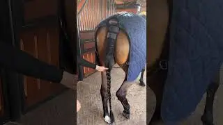 Конный магазин New-best-horse.com. Товары для всадника и лошади. #horse #конныйклуб #конныйспорт