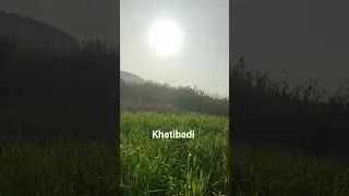 khetibadi farming #village #farming #nature #farmer #farmlife #shorts #short #trending #trend