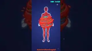 மனித உடலின் அதிசய உண்மைகள் 🧬| Amazing Human Body Facts #kidsworldramilenglish#ScienceForKids #shorts