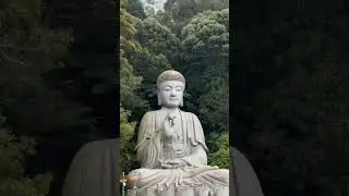 Asia's three big buddha statues#thailand #japan #malaysia
