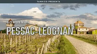 Gli eleganti vini di Pessac-L&eacute;ognan | Tannico Flying School