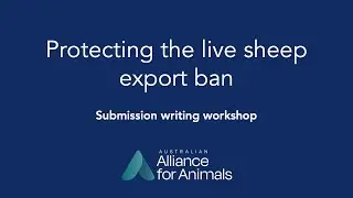 Submission writing workshop: Protect the live sheep export ban