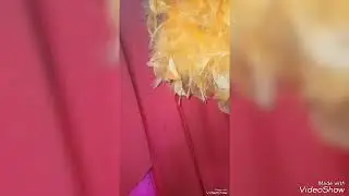 casamento cigano ❤️2023 cristiano y daiana
