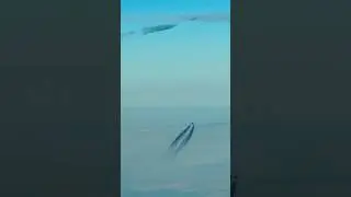 Chemtrail #aviation #landing #flight #pilot #cockpit #airplane #cockpitlife