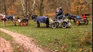 Een dagje met 3 aanspanningen naar Laag Soeren.