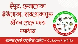 Best Pest Control Service in Bangladesh
