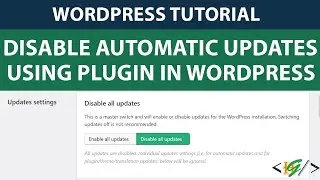 How to Disable Automatic Updates in WordPress Using Plugin