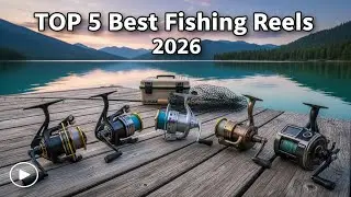 Top 5 Best Fishing Reels in 2026 (Best Bang for Your Buck!)