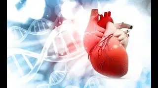 Structural Development of Atherosclerosis and Aspects of Coronary Heart Disease