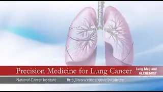 Precision Medicine for Lung Cancer