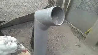 Etető csatorna csőből