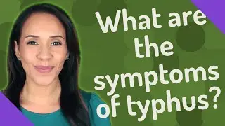 What are the symptoms of typhus?