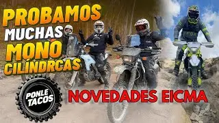 PONLE TACOS 8 T2 PROBAMOS MUCHAS MONO. EMPIEZA EICMA
