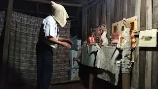 11 ທັນວາ 2025