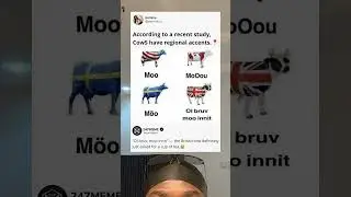 Do you know cows have regional accents