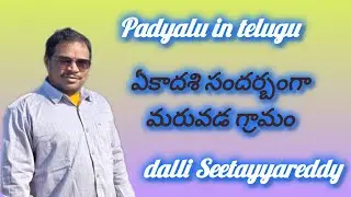 The Unmatched Literary Genius of Seetayya Reddy
