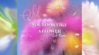 S&oacute;l- You Look Like A Flower (Lofi Remix)